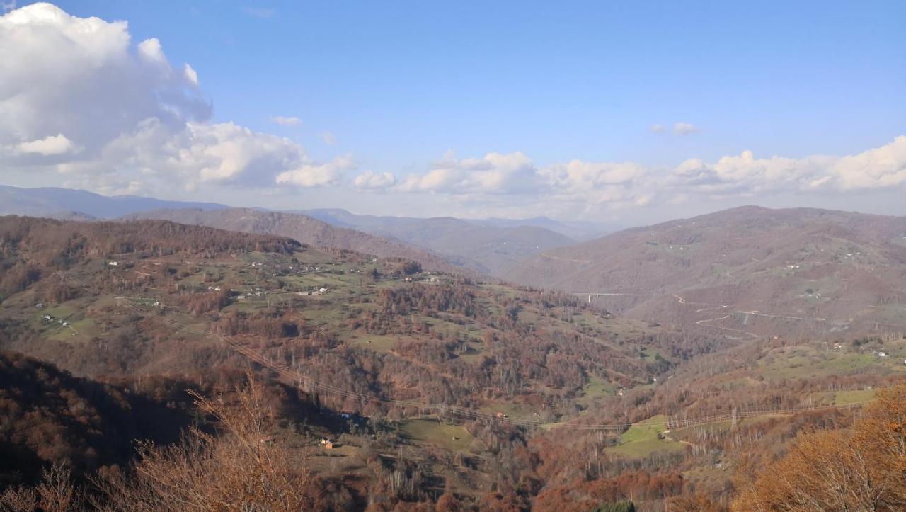 Koliba Pcelica 2 Villa Бело Поле Екстериор снимка
