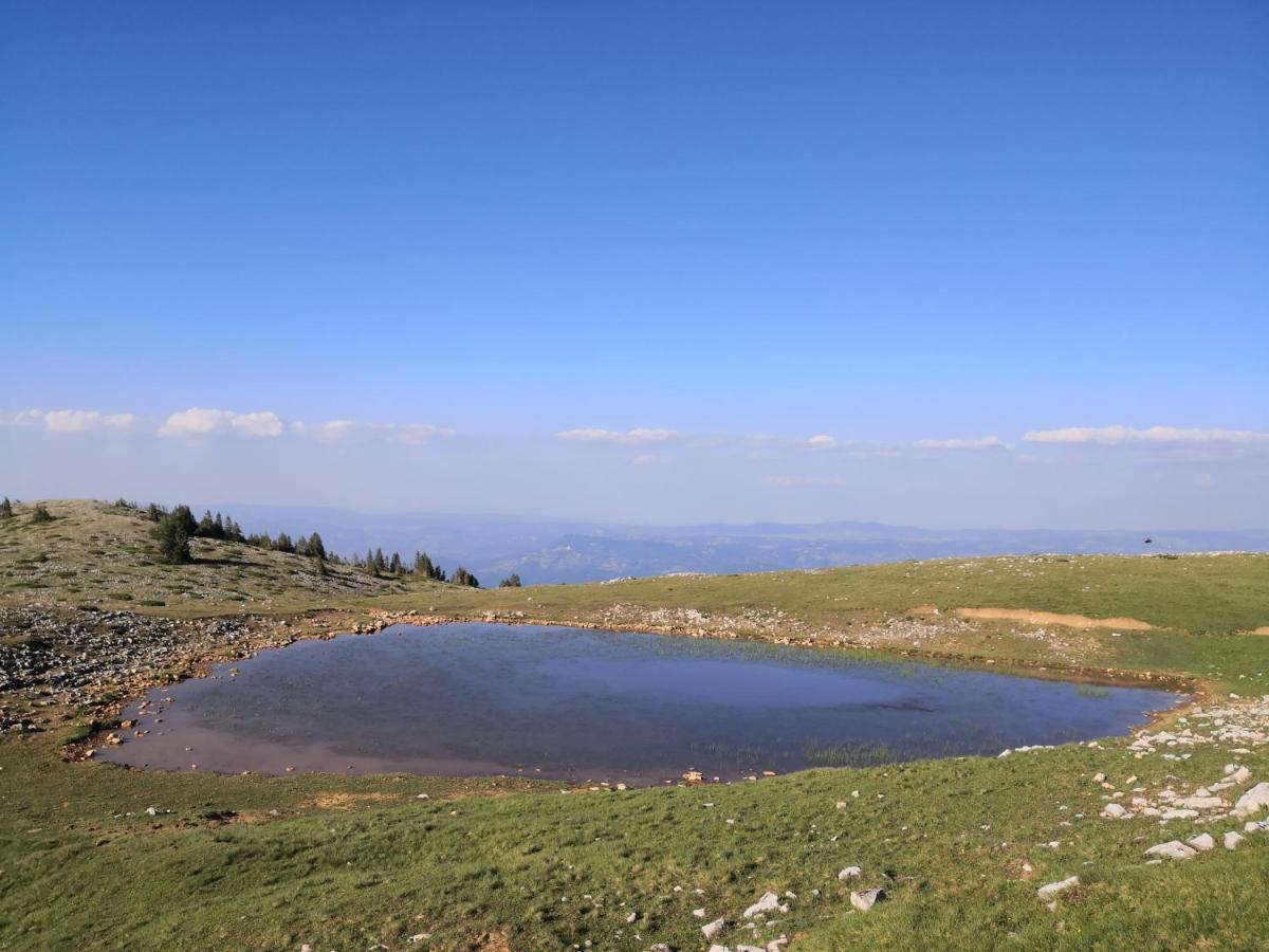 Koliba Pcelica 2 Villa Бело Поле Екстериор снимка